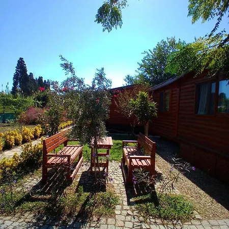 Defnewoodhome * بودروم